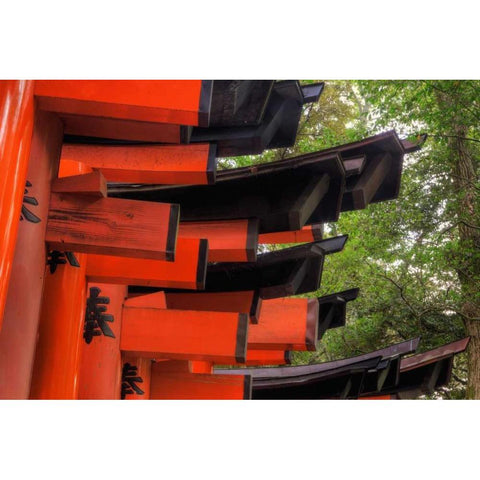 Japan, Kyoto, Fushimi-Inari-Taisha Torii Gates Black Modern Wood Framed Art Print with Double Matting by Flaherty, Dennis