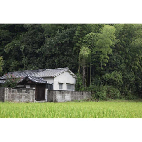 Japan, Heguri-cho Rural home next to rice field Black Modern Wood Framed Art Print by Flaherty, Dennis