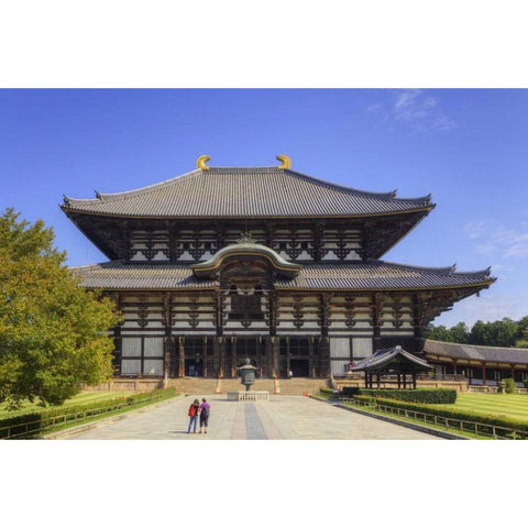 Japan, Nara, Nara Park Todai-ji Temple White Modern Wood Framed Art Print by Flaherty, Dennis