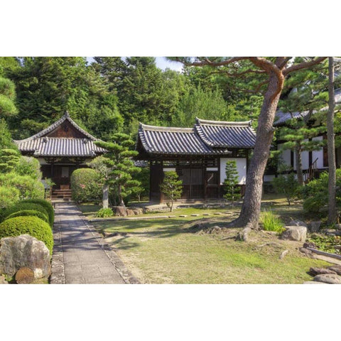 Japan, Nara Grounds of the Shingon-in Temple White Modern Wood Framed Art Print by Flaherty, Dennis