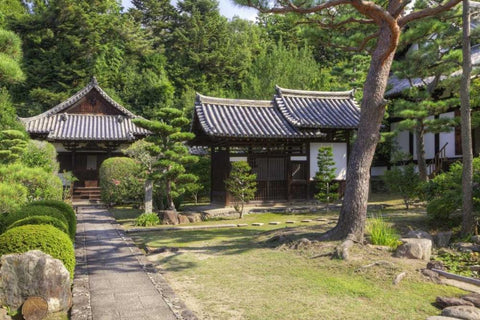 Japan, Nara Grounds of the Shingon-in Temple White Modern Wood Framed Art Print with Double Matting by Flaherty, Dennis