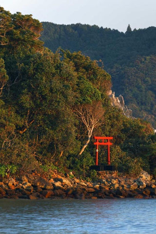 Japan, Wakagama A Torii Gate on hillside White Modern Wood Framed Art Print with Double Matting by Flaherty, Dennis