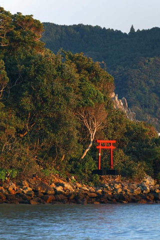 Japan, Wakagama A Torii Gate on hillside Black Ornate Wood Framed Art Print with Double Matting by Flaherty, Dennis