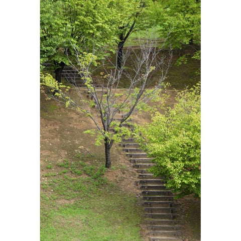 Asia, Japan, Heguri-cho Stairway in a park Black Modern Wood Framed Art Print with Double Matting by Flaherty, Dennis