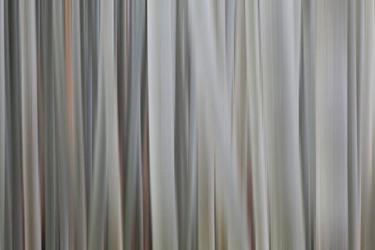 Image Only