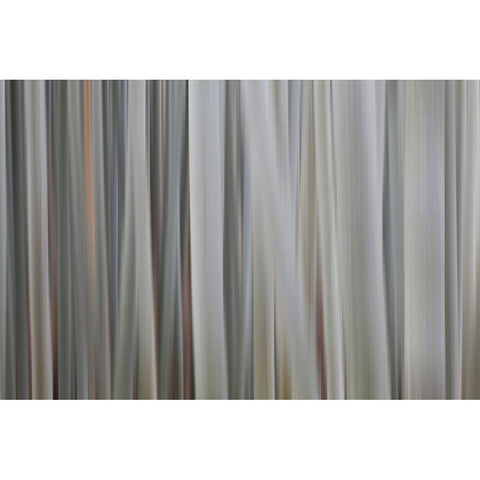 Japan-Kyoto Abstract blur of bamboo stalks Black Modern Wood Framed Art Print by Jaynes Gallery