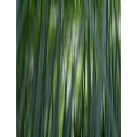 Japan-Kyoto Abstract of Arashiyama Bamboo Grove Black Modern Wood Framed Art Print by Jaynes Gallery