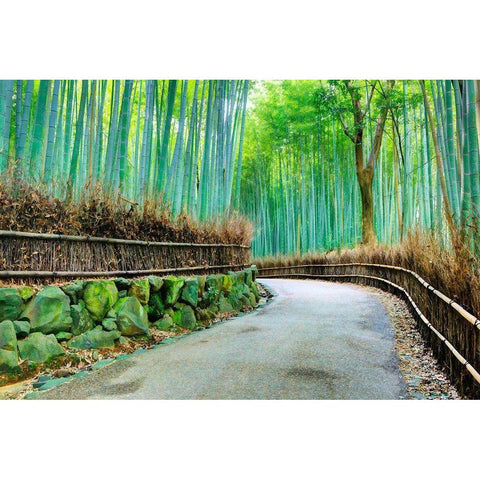 Kyoto Abstract of Arashiyama Bamboo Grove Black Modern Wood Framed Art Print by Jaynes Gallery