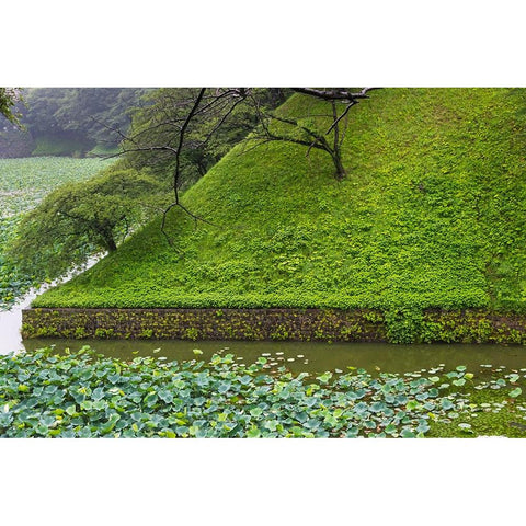 Lotus pond in the Royal Palace-Tokyo-Japan Gold Ornate Wood Framed Art Print with Double Matting by Su, Keren