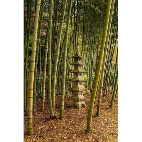A tall pagoda statue in the center of a tall bamboo grove-Akebonoyama Park-Japan Black Modern Wood Framed Art Print by Haddad, Sheila