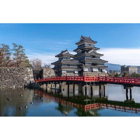 The Matsumoto Castle as seen from the bridge with the city buildings in the background-Japan Black Modern Wood Framed Art Print with Double Matting by Haddad, Sheila