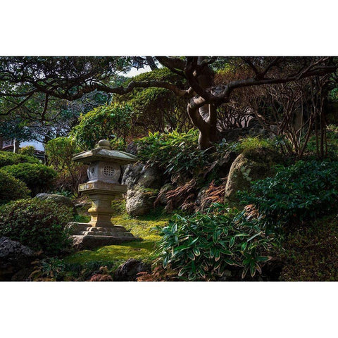 A peaceful garden with Pagoda and old tree Black Modern Wood Framed Art Print with Double Matting by Haddad, Sheila