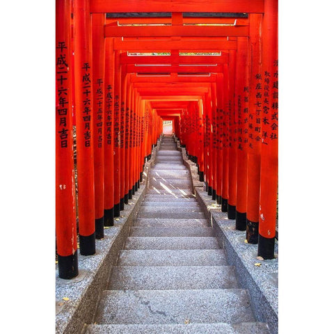 Famous Torii-or gates of the entrance to the Hie Shrine in Tokyo-Japan White Modern Wood Framed Art Print by Haddad, Sheila