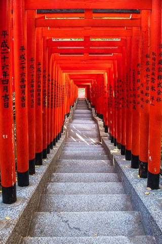 Famous Torii-or gates of the entrance to the Hie Shrine in Tokyo-Japan White Modern Wood Framed Art Print with Double Matting by Haddad, Sheila