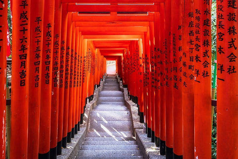 Famous Torii-or gates of the entrance to the Hie Shrine in Tokyo-Japan Black Ornate Wood Framed Art Print with Double Matting by Haddad, Sheila