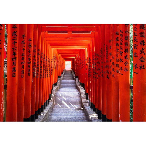 Famous Torii-or gates of the entrance to the Hie Shrine in Tokyo-Japan Gold Ornate Wood Framed Art Print with Double Matting by Haddad, Sheila