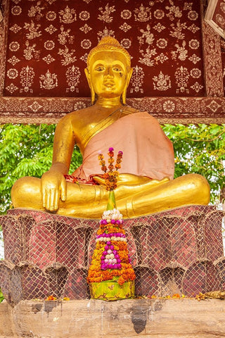 Laos- Luang Prabang. Golden Buddha statue and altar. Black Ornate Wood Framed Art Print with Double Matting by Haseltine, Tom