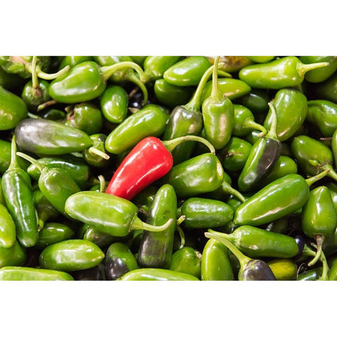 Selling peppers at the market-Kathmandu-Nepal Black Modern Wood Framed Art Print by Su, Keren