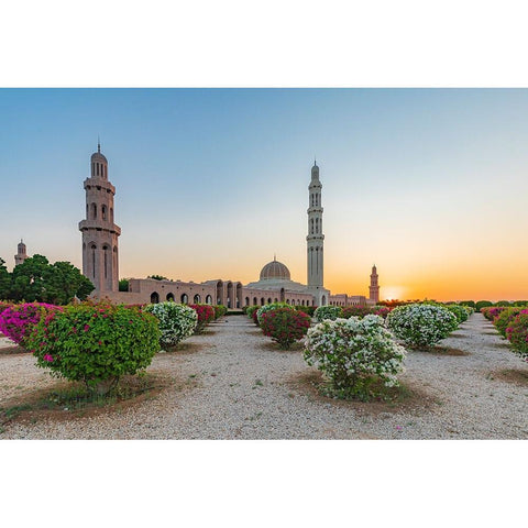 Middle East-Arabian Peninsula-Oman-Muscat-Sunset view of the Sultan Qaboos Grand Mosque in Bawshar Black Modern Wood Framed Art Print by Wilson, Emily M.