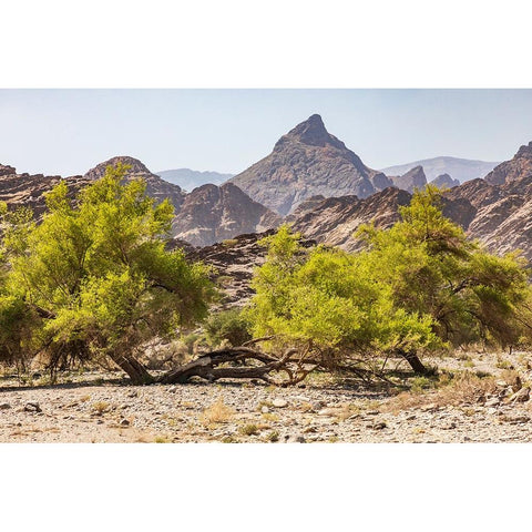 Middle East-Arabian Peninsula-Oman-Al Batinah South-Rustaq Black Modern Wood Framed Art Print with Double Matting by Wilson, Emily M.