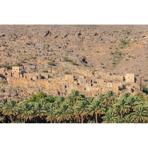 Middle East-Arabian Peninsula-Oman-Ad Dakhiliyah-Al Hamra-The ruins of an ancient village in Oman Black Modern Wood Framed Art Print by Wilson, Emily M.
