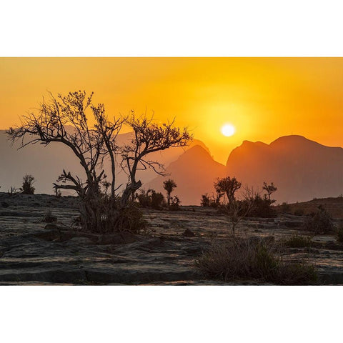 Middle East-Arabian Peninsula-Oman-Ad Dakhiliyah-Al Hamra Gold Ornate Wood Framed Art Print with Double Matting by Wilson, Emily M.