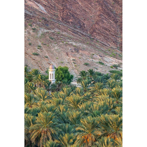 Middle East-Arabian Peninsula-Oman-Ad Dakhiliyah-Nizwa White Modern Wood Framed Art Print by Wilson, Emily M.