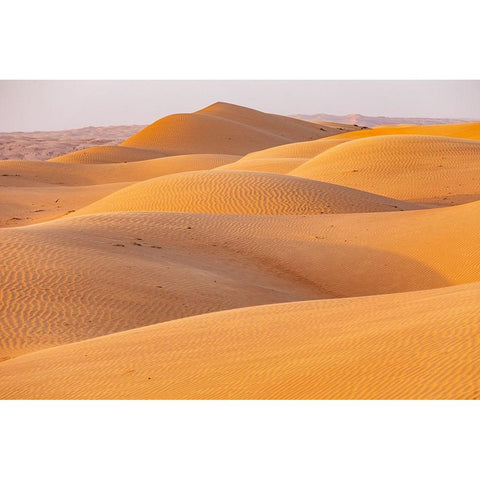 Middle East-Arabian Peninsula-Ash Sharqiyah North-Bidiyah-Sand dunes in the desert of Oman Black Modern Wood Framed Art Print with Double Matting by Wilson, Emily M.