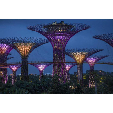 Singapore Garden by the Sea towers at night Black Modern Wood Framed Art Print by Zuckerman, Jim