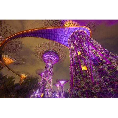 Singapore Garden by the Sea towers at night Black Modern Wood Framed Art Print with Double Matting by Zuckerman, Jim