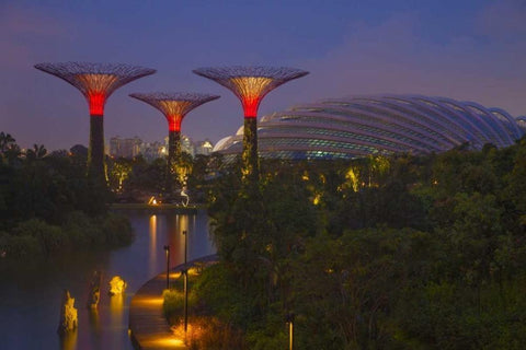 Singapore Garden by the Sea towers at night Black Ornate Wood Framed Art Print with Double Matting by Zuckerman, Jim