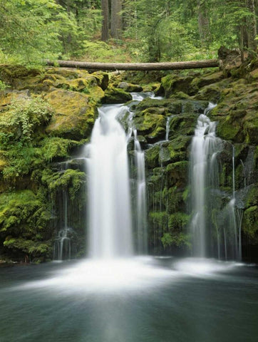 OR, Cascade Range, Umpqua NF Whitehorse Falls Black Ornate Wood Framed Art Print with Double Matting by Flaherty, Dennis