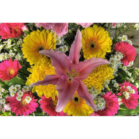 Thailand, Bangkok Flowers on display at market Black Modern Wood Framed Art Print with Double Matting by Shimlock, Jones