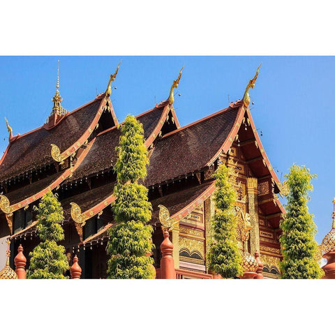 Thailand Royal Park Ratchaphruek Roof of a temple Gold Ornate Wood Framed Art Print with Double Matting by Haseltine, Tom