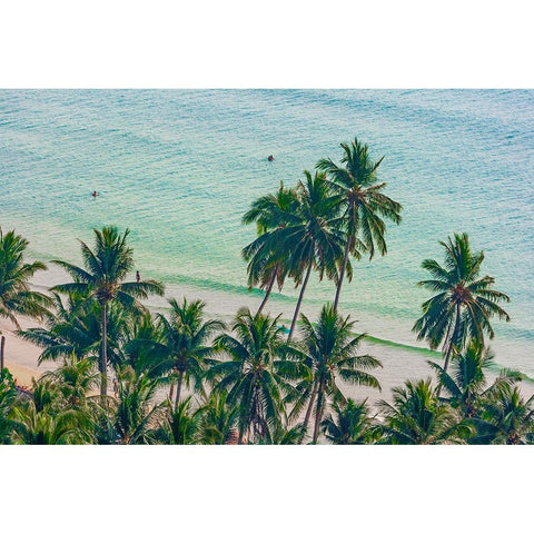 Asia-Thailand-Palm trees on Koh Chang-South of Bangkok-in Gulf of Thailand Black Modern Wood Framed Art Print by Haseltine, Tom