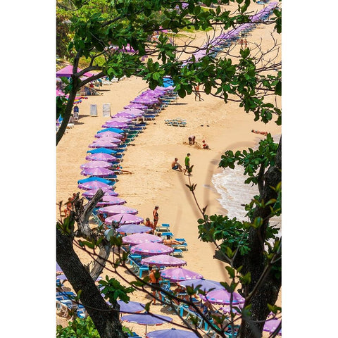 Thailand-Phuket-Umbrellas and chairs on the sandy beach Black Modern Wood Framed Art Print with Double Matting by Haseltine, Tom