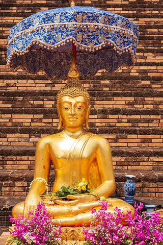 Chiang Mai- Thailand. Wat Chedi Luang. Buddha statue. Black Modern Wood Framed Art Print by Haseltine, Tom