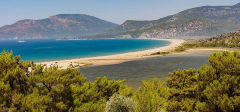Iztuzu Beach Dalyan-Mugla-Turkey Black Ornate Wood Framed Art Print with Double Matting by Kabas, Ali