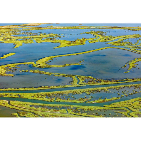 Wetland on the Aegean coast-Turkey Gold Ornate Wood Framed Art Print with Double Matting by Kabas, Ali