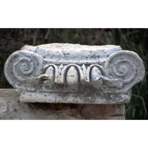 Turkey, Ephesus Roman Ionic column fragment White Modern Wood Framed Art Print by Noble Gardner, Nancy