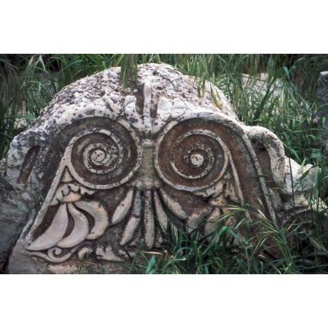 Turkey, Ephesus Ruined Roman column Gold Ornate Wood Framed Art Print with Double Matting by Noble Gardner, Nancy