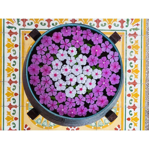 Asia-Vietnam-Mui Ne Pink and white flowers floating on water in a large pot White Modern Wood Framed Art Print by Merrill Images