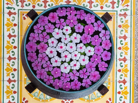 Asia-Vietnam-Mui Ne Pink and white flowers floating on water in a large pot Black Ornate Wood Framed Art Print with Double Matting by Merrill Images