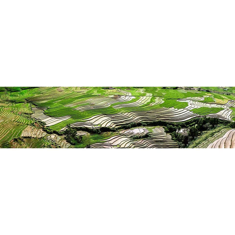 Vietnam Black Modern Wood Framed Art Print by Norring, Tom