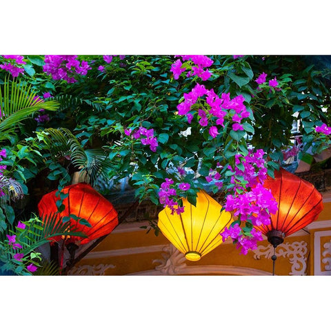 Vietnam-Hoi An silk lamps decorating throughout the city Black Modern Wood Framed Art Print with Double Matting by Norring, Tom