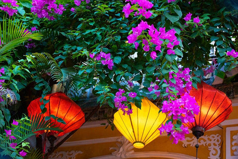Vietnam-Hoi An silk lamps decorating throughout the city Black Ornate Wood Framed Art Print with Double Matting by Norring, Tom