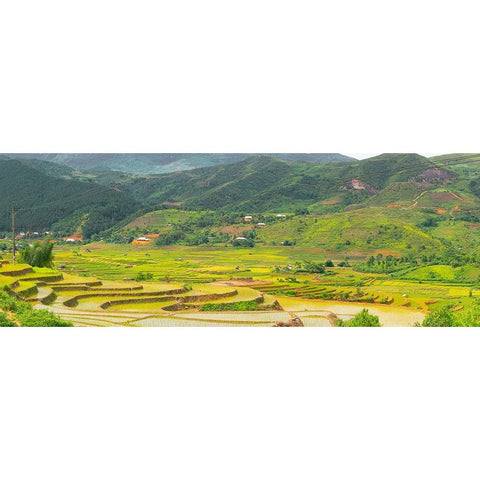 Vietnam -Rice paddies in the highlands of Sapa Black Modern Wood Framed Art Print by Norring, Tom