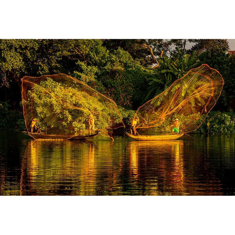 Vietnam-Butterfly net fishing-Fishermen working in complete synchronization White Modern Wood Framed Art Print by Norring, Tom