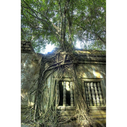 Cambodia, Angkor Wat Ruins of Beng Melea Temple Black Modern Wood Framed Art Print by Shimlock, Jones