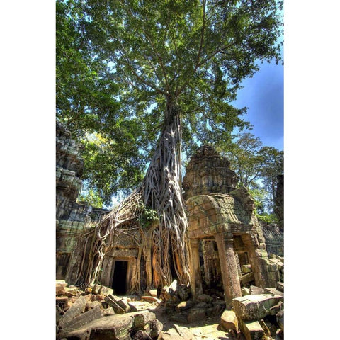 Cambodia, Angkor Wat Ruins of Beng Melea Temple Black Modern Wood Framed Art Print by Shimlock, Jones